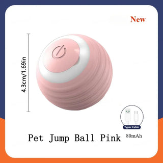  Interactive Rechargeable Cat Ball Toy cashymart
