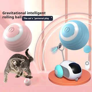 Interactive Rechargeable Cat Spin Ball Toy cashymart