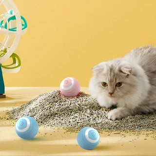  Interactive Rechargeable Cat Spin Ball Toy cashymart