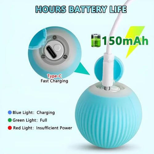  Interactive Rechargeable Cat Spin Ball Toy cashymart