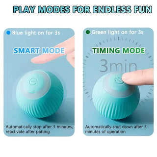  Interactive Rechargeable Cat Spin Ball Toy cashymart