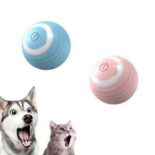  Interactive Rechargeable Cat Spin Ball Toy cashymart