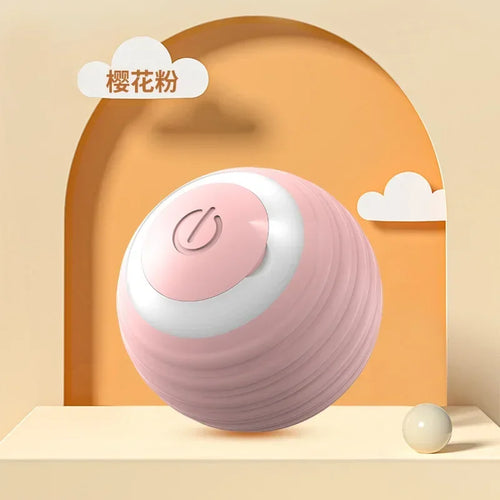  Interactive Rechargeable Cat Spin Ball Toy cashymart