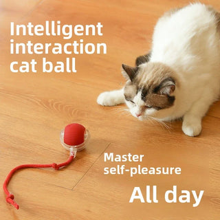  Interactive Rechargeable Cat Toy Ball cashymart