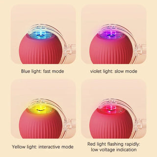  Interactive Rechargeable Cat Toy Ball cashymart