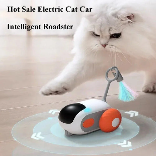  Interactive Remote Control Cat Toy Car cashymart