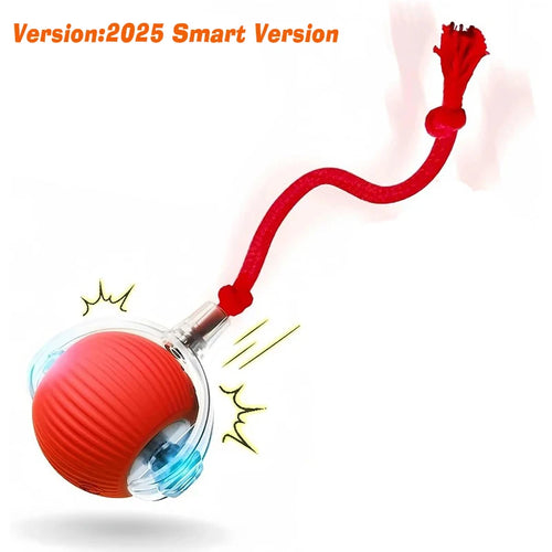  Interactive Robotic Cat Toy cashymart