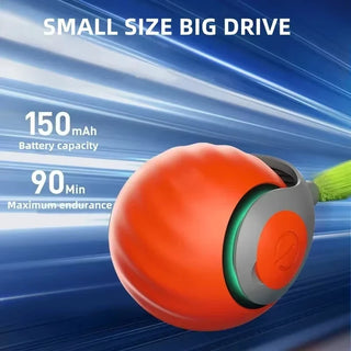  Interactive Smart Jumping Ball cashymart