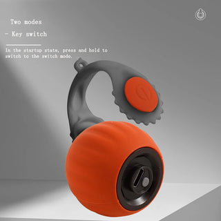  Interactive Smart Jumping Ball cashymart