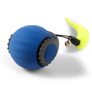  Interactive Smart Jumping Ball cashymart