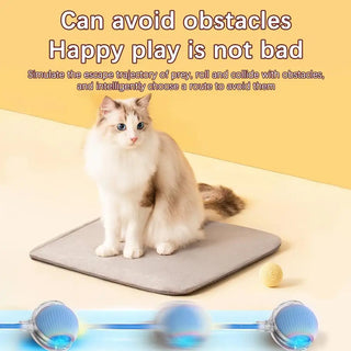  Interactive Smart Rolling Cat Ball Toy cashymart