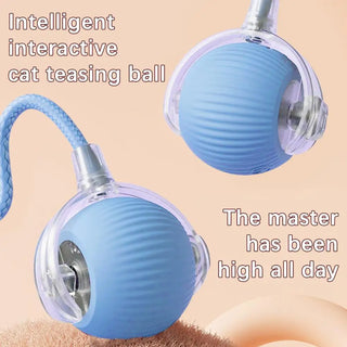  Interactive Smart Rolling Cat Ball Toy cashymart
