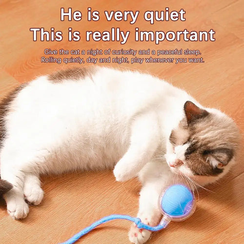  Interactive Smart Rolling Cat Ball Toy cashymart