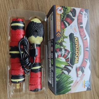  Interactive Smart Sensing Snake Cat Toy cashymart
