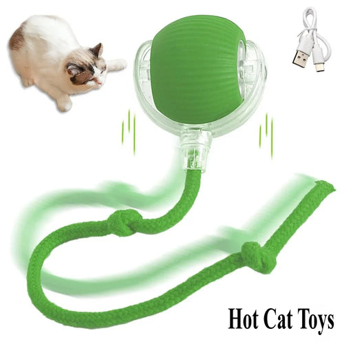  Interactive Toy Cat cashymart