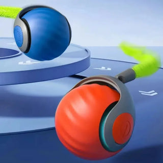  Interactive USB Rechargeable Cat Ball Toy cashymart