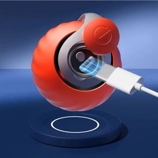  Interactive USB Rechargeable Cat Ball Toy cashymart