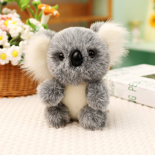  Koala Plush Toy cashymart