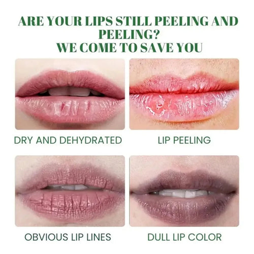  Korean Lip Balm cashymart
