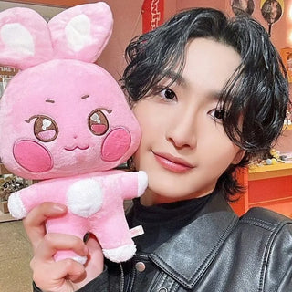  Kpop Aniteez Kawaii Plushies Toy Room Decor cashymart