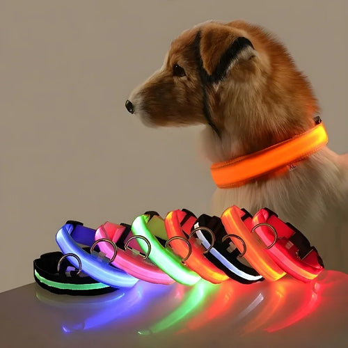  LED Dog Collar Nylon Glow In The Dark Safety cashymart