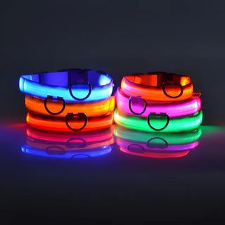  LED Dog Collar Nylon Glow In The Dark Safety cashymart