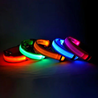  LED Dog Collar Nylon Glow In The Dark Safety cashymart