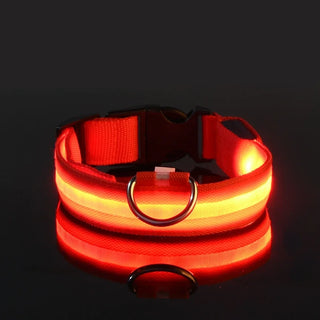  LED Dog Collar Nylon Glow In The Dark Safety cashymart