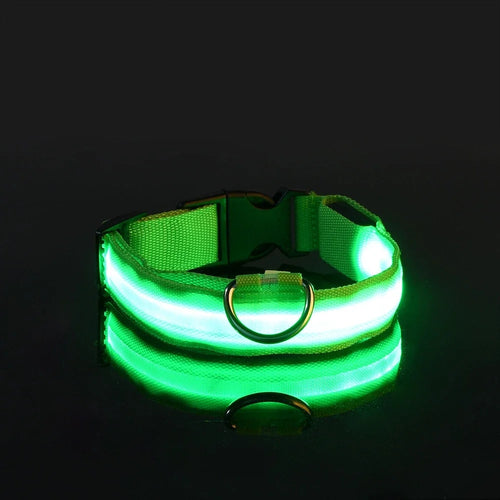  LED Dog Collar Nylon Glow In The Dark Safety cashymart