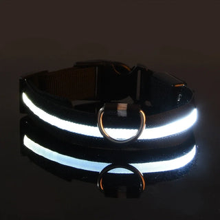  LED Dog Collar Nylon Glow In The Dark Safety cashymart