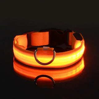  LED Dog Collar Nylon Glow In The Dark Safety cashymart