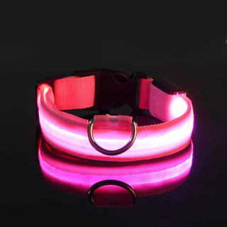  LED Dog Collar Nylon Glow In The Dark Safety cashymart