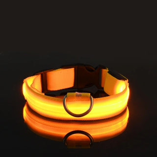  LED Dog Collar Nylon Glow In The Dark Safety cashymart