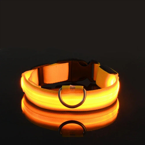  LED Dog Collar Nylon Glow In The Dark Safety cashymart