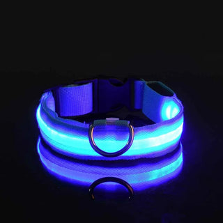 LED Dog Collar Nylon Glow In The Dark Safety cashymart