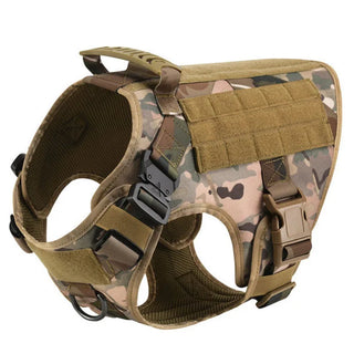  Large Dog Harness And Leash Set For Training cashymart