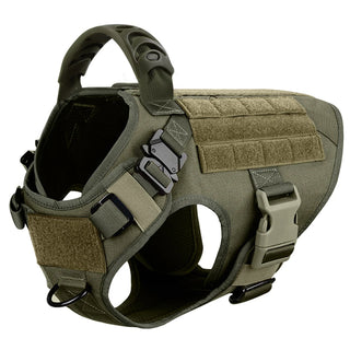  Large Dog Harness And Leash Set For Training cashymart