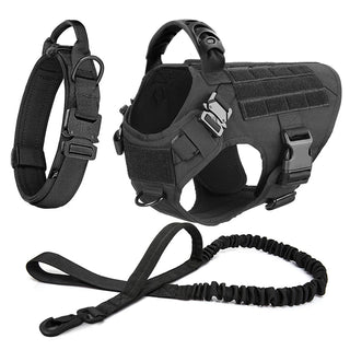  Large Dog Harness And Leash Set For Training cashymart