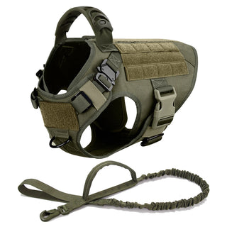  Large Dog Harness And Leash Set For Training cashymart