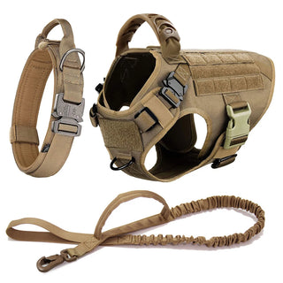  Large Dog Harness And Leash Set For Training cashymart