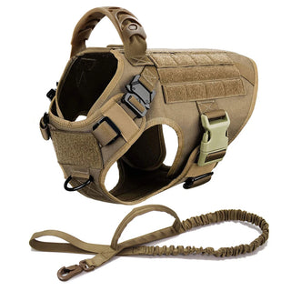  Large Dog Harness And Leash Set For Training cashymart