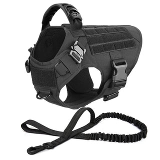  Large Dog Harness And Leash Set For Training cashymart