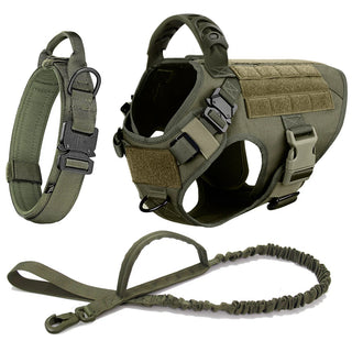  Large Dog Harness And Leash Set For Training cashymart