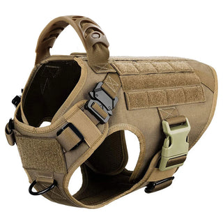  Large Dog Harness And Leash Set For Training cashymart