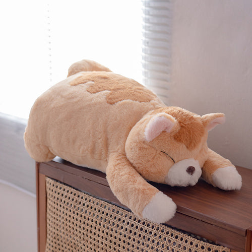  Lying Fat Cat Plush cashymart
