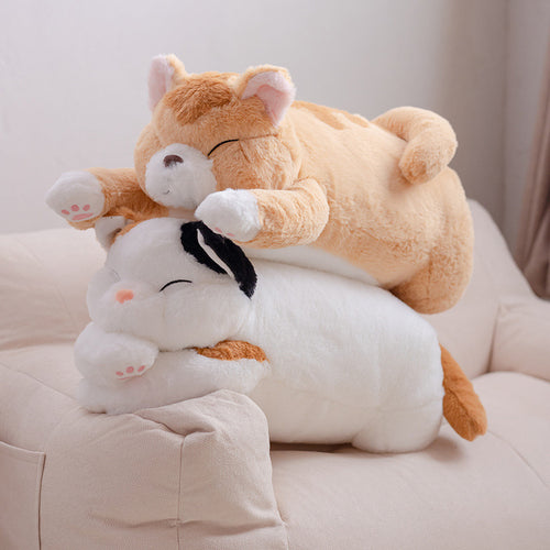  Lying Fat Cat Plush cashymart