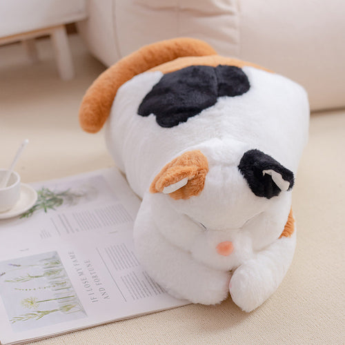  Lying Fat Cat Plush cashymart