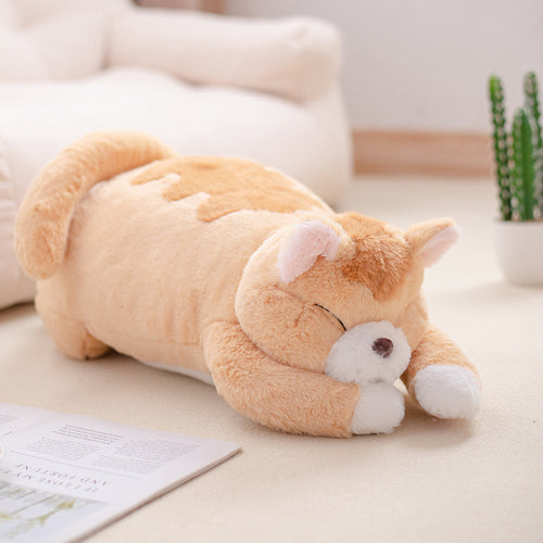  Lying Fat Cat Plush cashymart