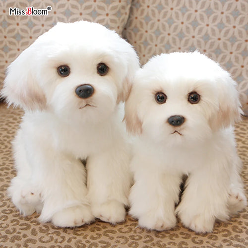  Maltese Dog Plush cashymart