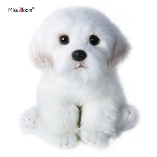  Maltese Dog Plush cashymart